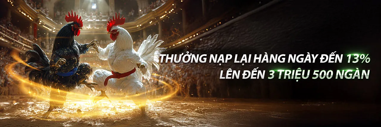 Sân đấu đá gà trực tuyến TT88